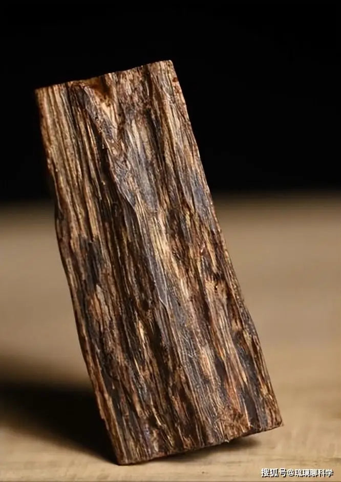Close-up of natural agarwood resin streaks on a dark fragrant wood chip used in Monian incense rituals