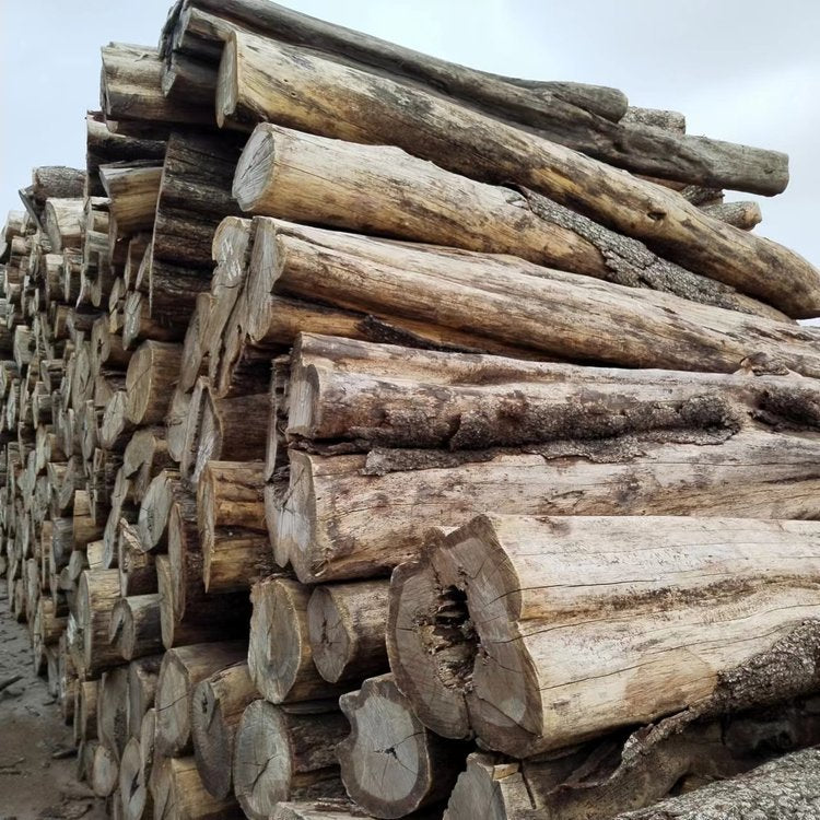 Stacked sandalwood logs with rough bark and natural grain patterns, arranged in a large pile, representing raw sandalwood material for incense and aromatic products.