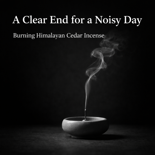 Minimalist black and white incense smoke banner representing mindful ritual and daily calm by Monian