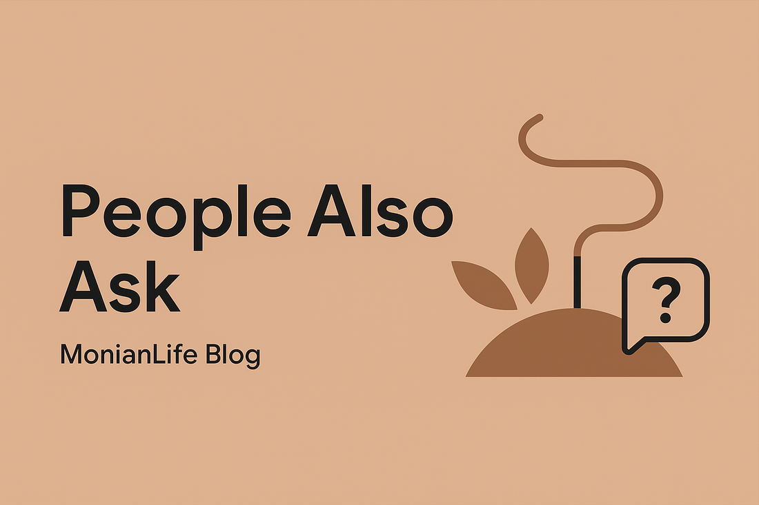 Minimalist banner in Monian earthy color palette, featuring abstract flowing incense smoke forming subtle question marks, symbolizing curiosity and reflection.