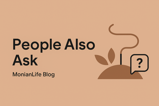 Minimalist banner in Monian earthy color palette, featuring abstract flowing incense smoke forming subtle question marks, symbolizing curiosity and reflection.